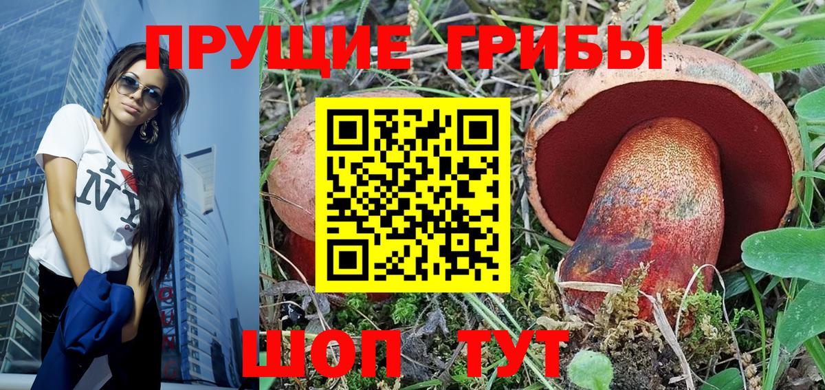 Санкт-Петербург  Галлюциногенные грибы MAGIC MUSHROOMS  Галлюциногенные грибы MAGIC MUSHROOMS  Вход с VPN 